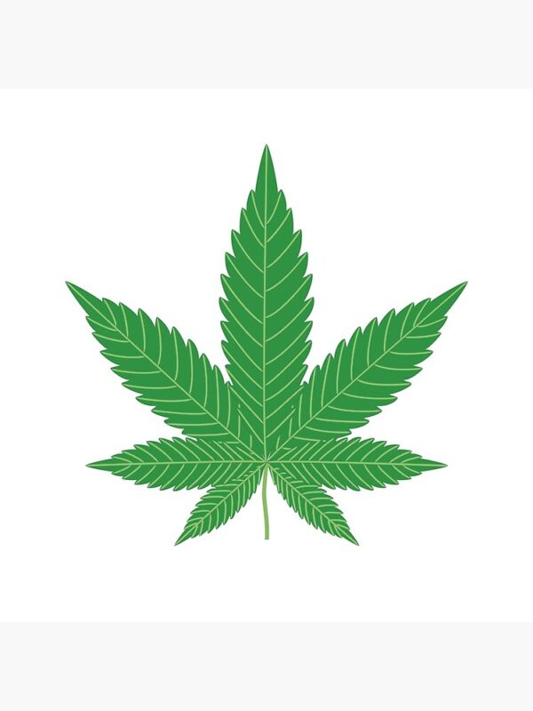 MIDS - SATIVA SATFLW 7G