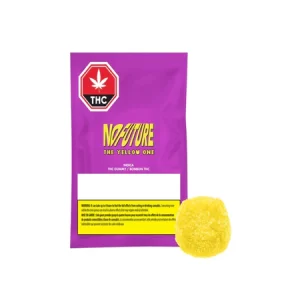 NO FUTURE - THE YELLOW ONE 1X10G