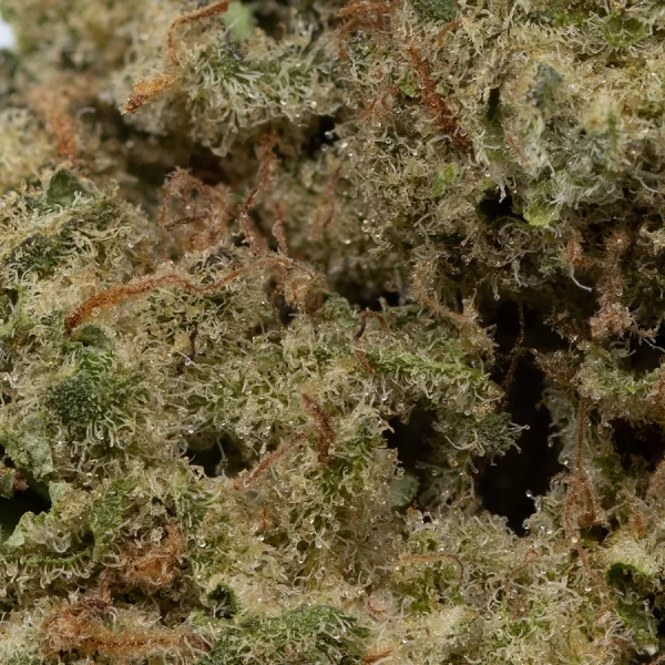 CROOKED DORY - MINT SMASH 28G - Image 2
