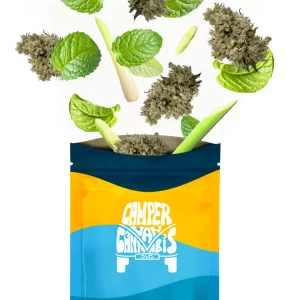 CAMPER VAN CANNABIS – KHALIFA MINTS PR3X0.5G