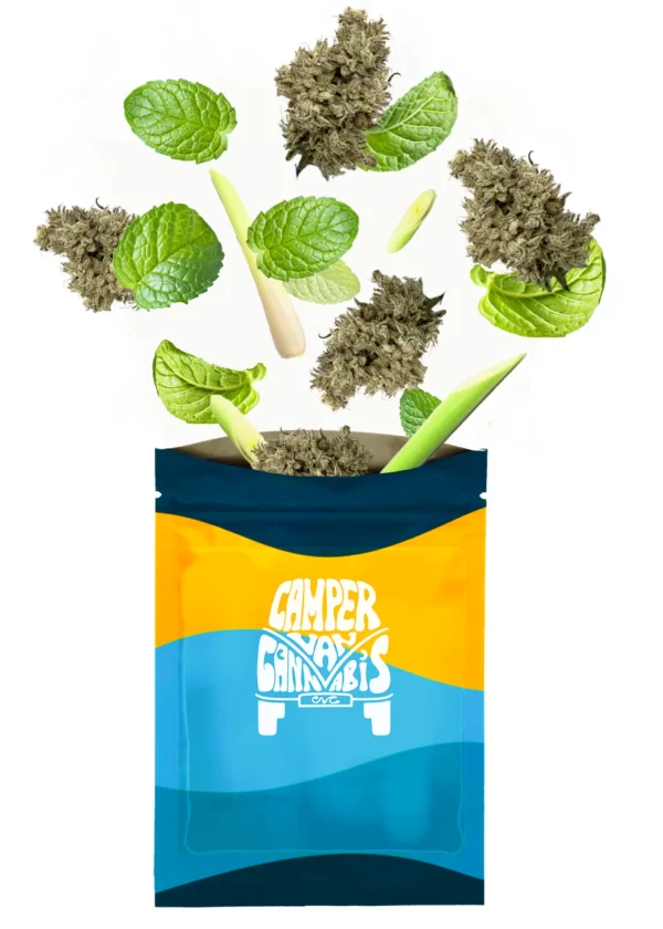 CAMPER VAN CANNABIS – KHALIFA MINTS PR3X0.5G