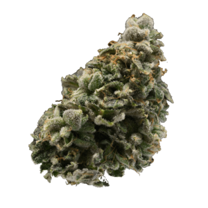 WESTERN CANNABIS - ORANGE CREAMSICLE HYBRID FLOWER 1G