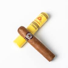 MONTECRISTO PETIT EDMUNDO HR