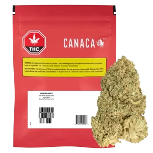 CANACA	- BLUEBERRY DONUTS 7G