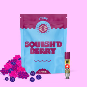 NESS – SQUISH'D BERRY 510 VAPE CART 1G HYRBID