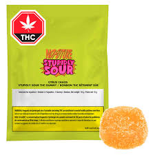 NO FUTURE - STUPIDLY SOUR CITRUS CHAOS 1X10G