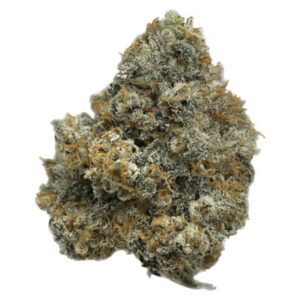 PROMENADE – BUDDIES HYBRID 7G