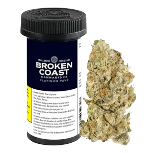 BROKEN COAST - PLATINUM PAVE 7G INDICA