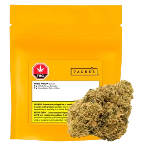 7 ACRES – WHITE WIDOW 7G SATIVA