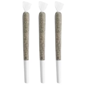 RANDOM ACTS – BONFIRE PR3X0.5G HYBRID