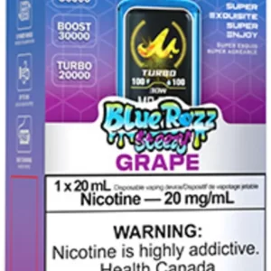 MR FOG – NOVA BLUE RAZZ STEEZY GRAPE DISPOSABLE VAPE
