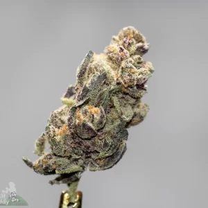 TOBAGROWN – BLACKBERRY PIE 10G INDICA