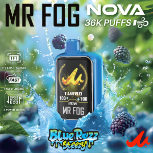 MR FOG – NOVA BLUE RAZZ STEEZY BLUE RANCHER ICE DISPOSABLE VAPE