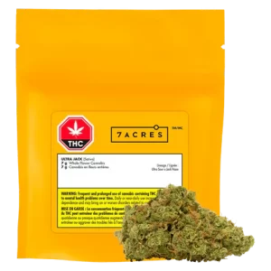 7 ACRES – ULTRA JACK 7G SATIVA