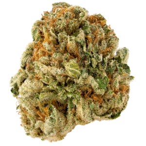 GREEN BRIER - SHERB CRASHER 28G INDICA