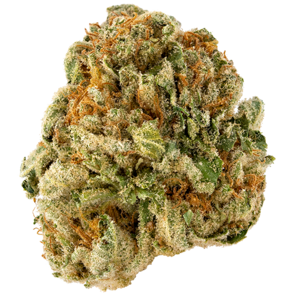 GREEN BRIER - SHERB CRASHER 28G INDICA