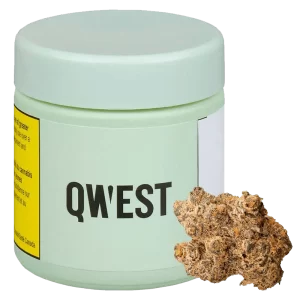 QWEST - GRAPE CREAM CAKE 3.5G FLOWER INDICA