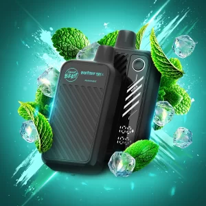 FLAVOUR BEAST DISPOSABLE 50K – MIAMI MINT