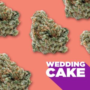 SPINACH - WEDDING CAKE 28G HYBRID