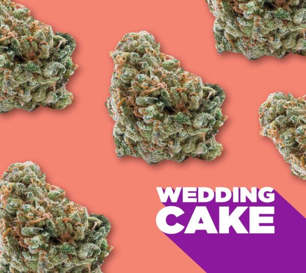 SPINACH - WEDDING CAKE 28G HYBRID
