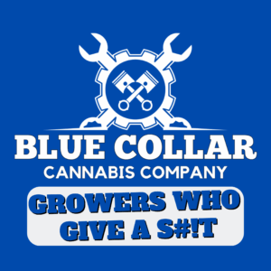 BLUE COLLAR - ALASKAN ICE 5G SATIVA