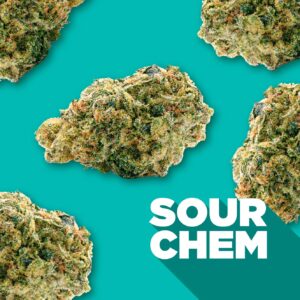 SPINACH – SOUR CHEM 7G SATIVA