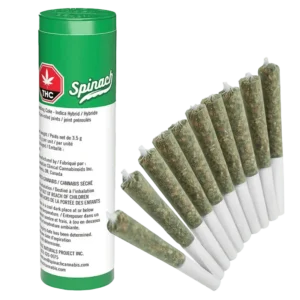 SPINACH - WEDDING CAKE PR0.35X10 HYBRID