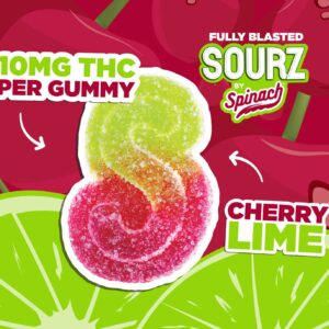 SPINACH - CHERRY LIME HYBRID