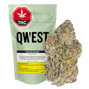 QWEST – GRANDI GUAVA 14G FLOWER SATIVA