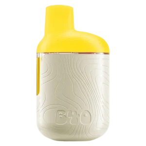 BACK FORTY - STICKY PINEAPPLE AIO VAPE 0.95G DISPOSABLE HYBRID