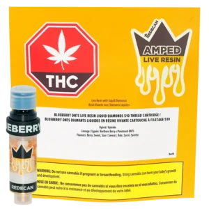 REDECAN - BLUEBERRY DNTS LIVE RESIN LIQUID DIAMONDS 1G HYBRID