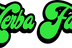 HERBA FARMS	- THE CHURRO BLUEBERRY COOKIES IPR1X1G GLASS TIP HYBRID