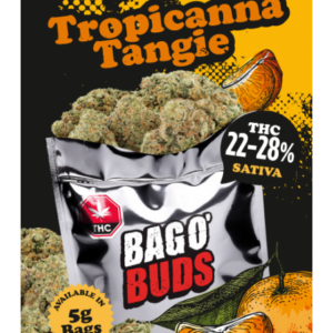 BIG BAG O’BUDS – TROPICANNA TANGIE 5G SATIVA