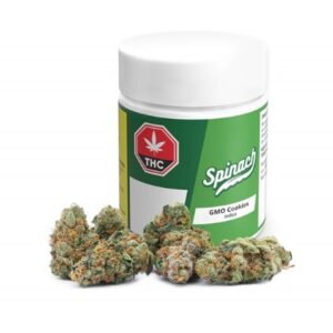 SPINACH- GMO COOKIES 28g INDICA