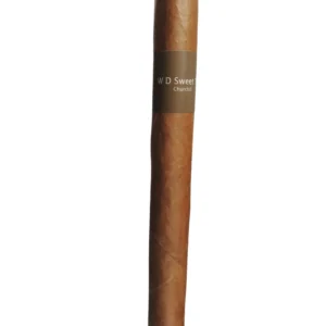 WD SWEET TIP CHURCHILL