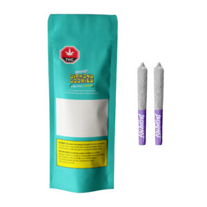 BOXHOT - DIAMOND DOOBIS PINEAPPLE EXPRESS INFUSED PR2X0.5G SATIVA