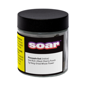 SOAR - PINEAPPLE GOD 7G INDICA