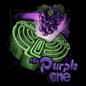 NO FUTURE - THE SOUR PURPLE ONE 10X10MG THC GUMMIES INDICA