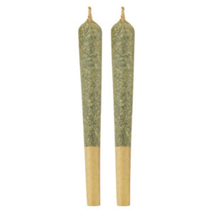 BUD BOYS - GOLDEN GOAT PR2X1G SATIVA